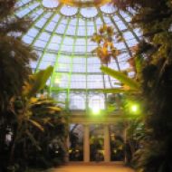 We went at dusk, so we got to see the greenhouses lit up as it started getting darker. This is inside the biggest dome, and it's awesome.